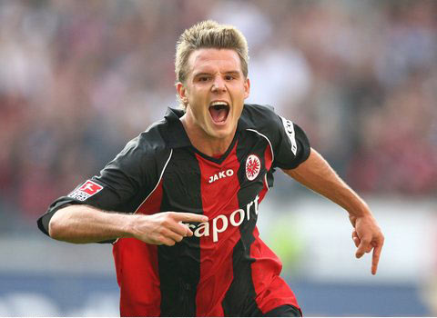 仅需要掌握 仅需要掌握